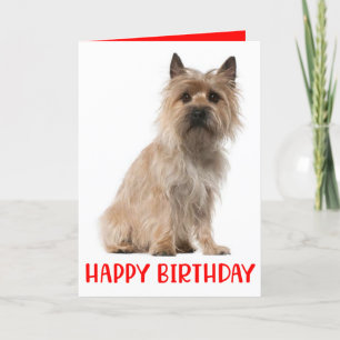 Carte d'anniversaire du Chien Terrier de Cairn