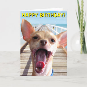 Carte d'anniversaire du Chihuahua