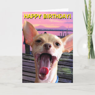 Carte d'anniversaire du Chihuahua