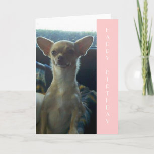 Carte d'anniversaire du Chihuahua