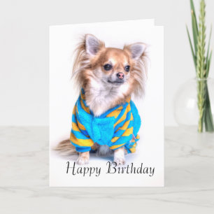 Carte d'anniversaire du Chihuahua