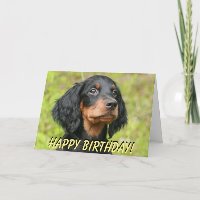 Carte d'anniversaire du chiot Gordon Setter (Devant)