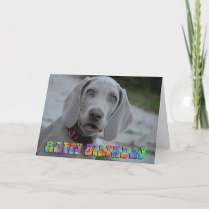 Carte d'anniversaire du chiot weimaraner mignonne