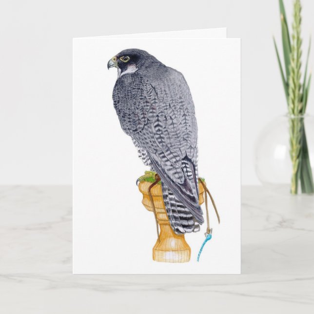 Carte d'anniversaire du faucon pèlerin (Devant)