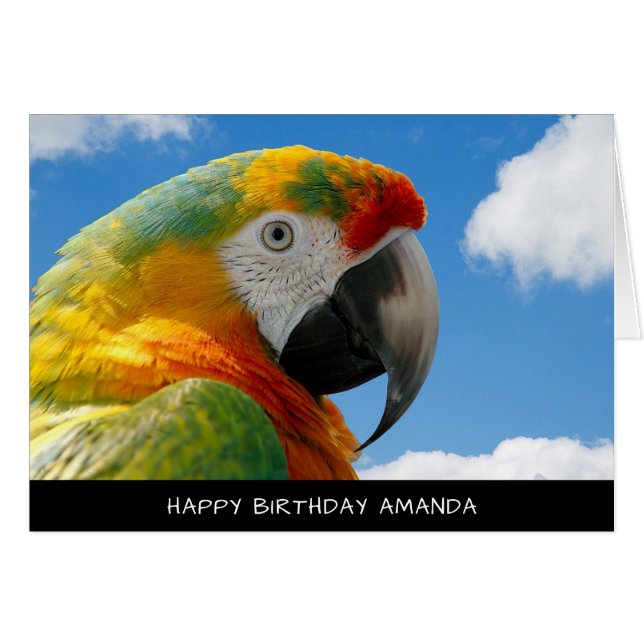 Carte d'anniversaire du joli perroquet (Devant horizontal)