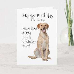Carte d'anniversaire du Laboratoire jaune