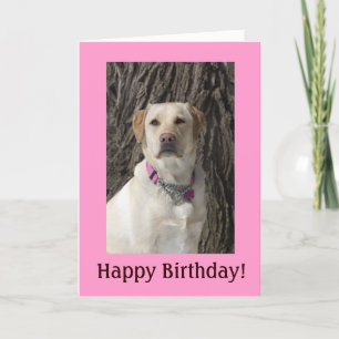 Carte d'anniversaire du laboratoire rose-jaune
