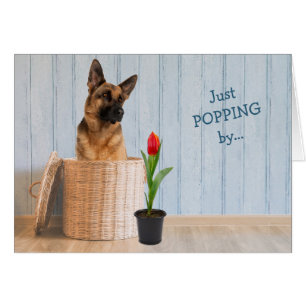 Carte d'anniversaire du panier d'osier de chien be