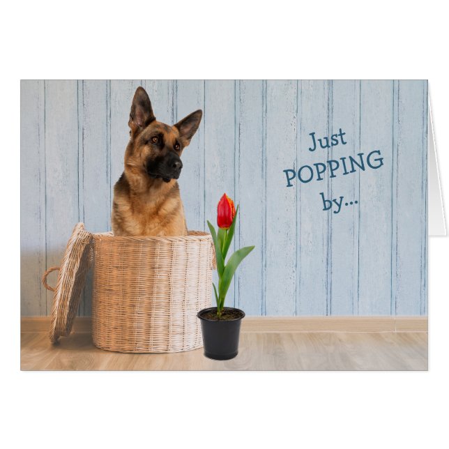 Carte d'anniversaire du panier d'osier de chien be (Devant horizontal)