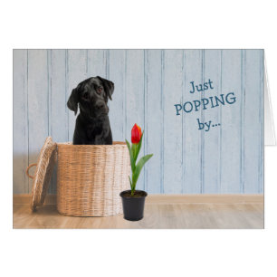 Carte d'anniversaire du panier d'osier de chien du