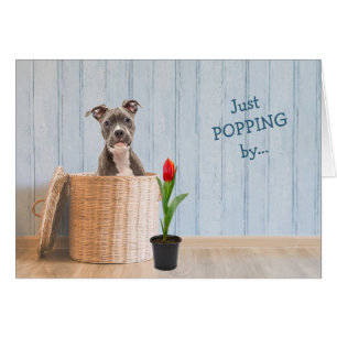 Carte d'anniversaire du panier d'osier pour chien 
