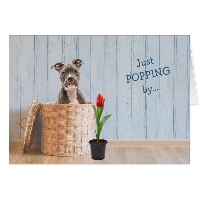 Carte d'anniversaire du panier d'osier pour chien  (Devant horizontal)