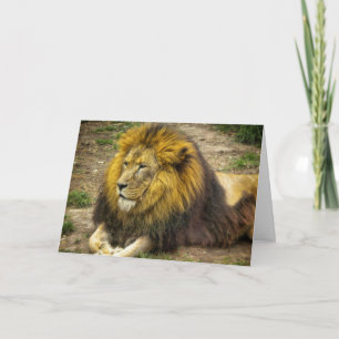 Carte d'anniversaire du roi du zoo