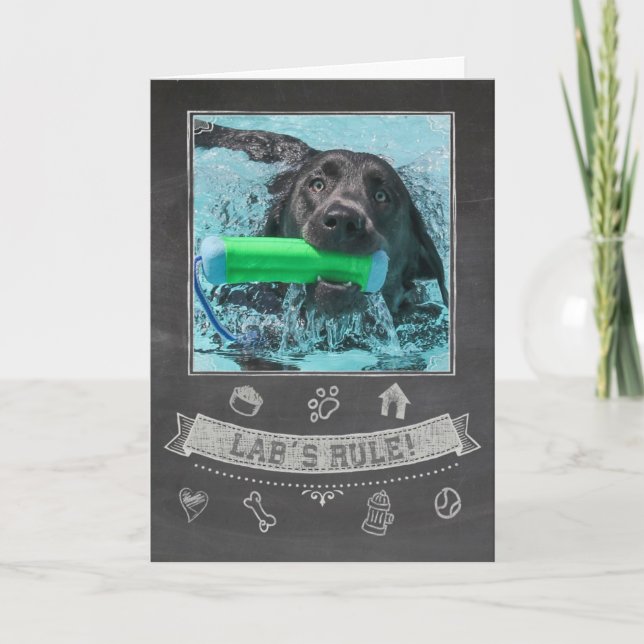 Carte d'anniversaire du tableau de bord Silver Lab (Devant)