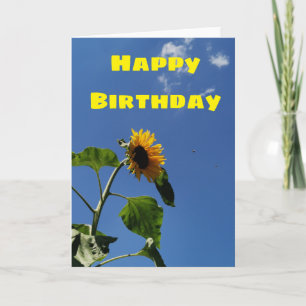 Carte d'anniversaire du tournesol jaune et ciel bl