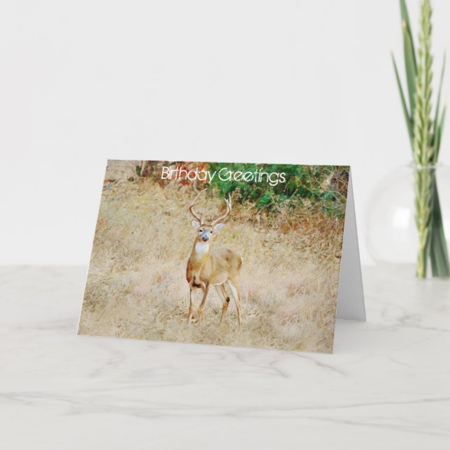 Carte d'anniversaire d'un amateur de cerfs ou d'un (Devant)