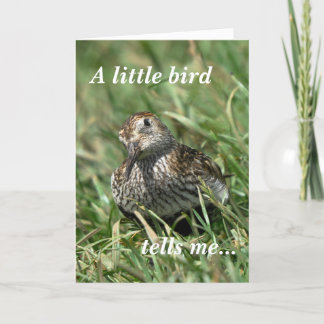 Carte d'anniversaire : Dunlin