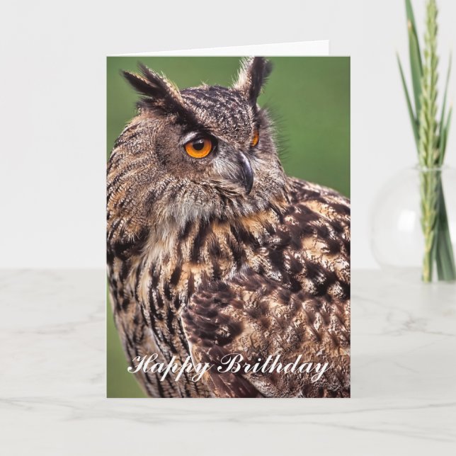 Carte d'anniversaire Eagle Owl (Devant)