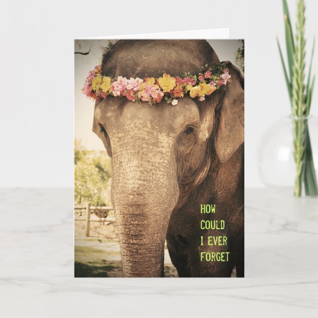Carte d'anniversaire éléphant (Devant)