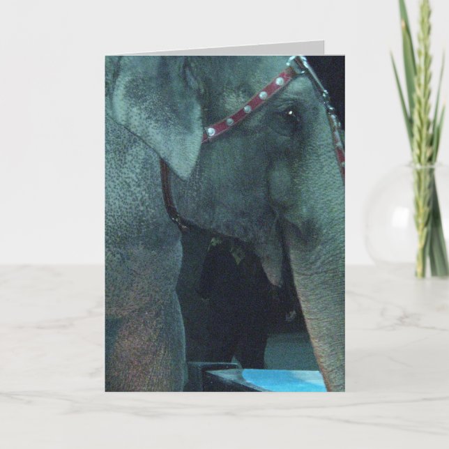 Carte d'anniversaire ELEPHANT (Devant)
