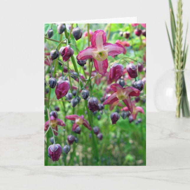 Carte d'anniversaire Epimedium Flowers (Devant)