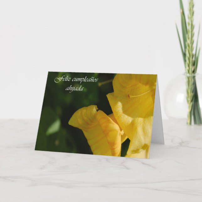 Carte d'anniversaire espagnole pour Godgirl (Devant)