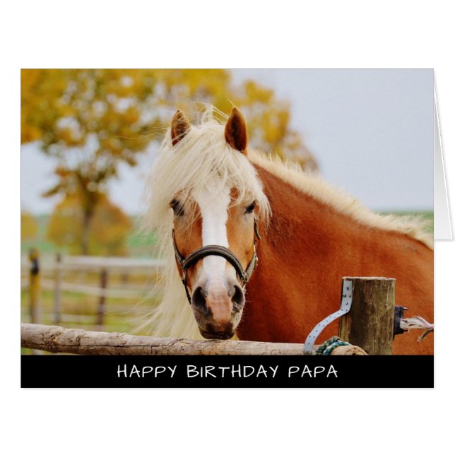 Carte d'Anniversaire Extra Grande (Devant horizontal)