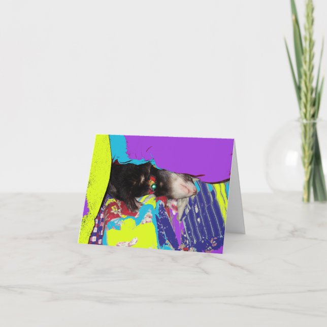 Carte d'anniversaire Ferret Nap (Devant)