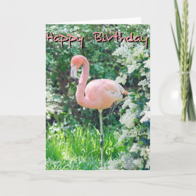 Carte d'anniversaire Flamant rose (Devant)