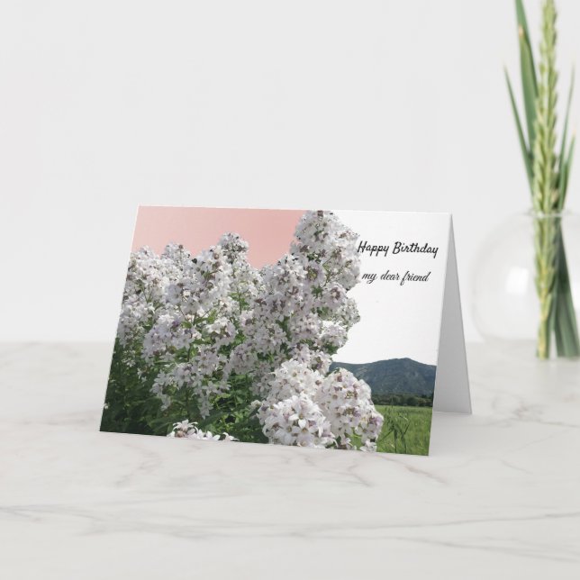 Carte d'anniversaire Fleurs blanches et Nature (Devant)