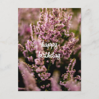 Carte d'anniversaire Fleurs de Bruyère Photographi