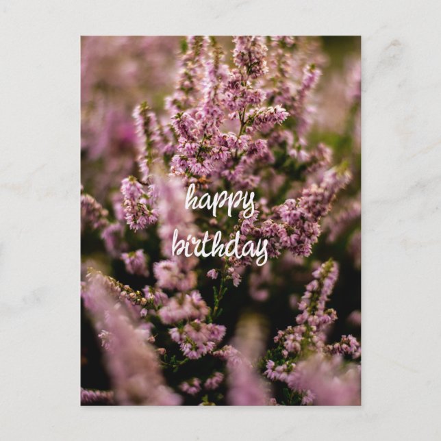 Carte d'anniversaire Fleurs de bruyère Photographi (Devant)