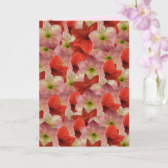 Carte d'anniversaire florale Amaryllis (Orchidée)