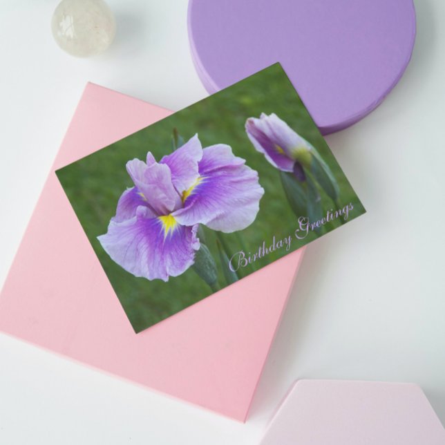 Carte d'anniversaire florale Iris Japonais Violet (In Situ)