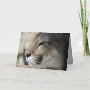 Carte d'anniversaire Florida Panther
