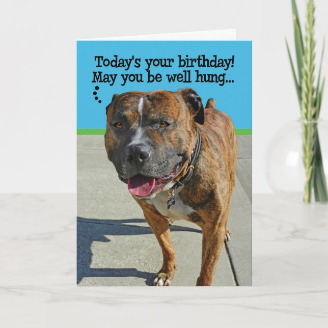Carte d'anniversaire Funny Pit Bull (Devant)