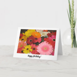Carte d'anniversaire Gerbera