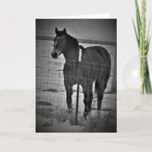 Carte d'anniversaire "Get On Your High-Horse"