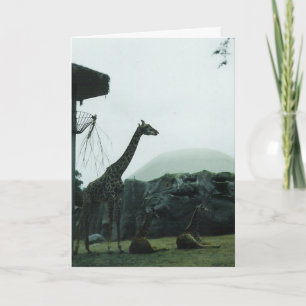 Carte d'anniversaire "Girafes"