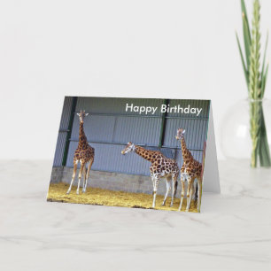 Carte d'anniversaire Giraffe