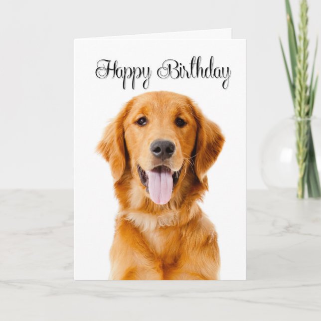 Carte d'anniversaire Golden Retriever (Devant)