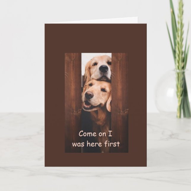 Carte d'anniversaire Golden Retriever (Devant)