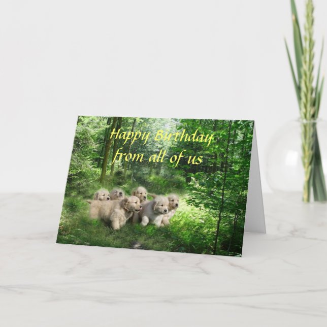 Carte d'anniversaire Golden Retriever Puppies (Devant)