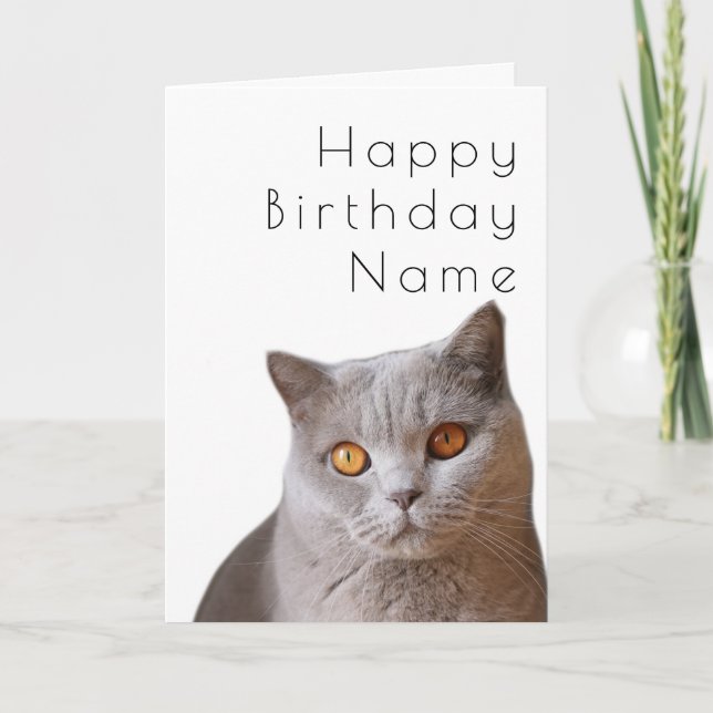 Carte d'anniversaire Gray Short Haidate Chat Art D (Devant)