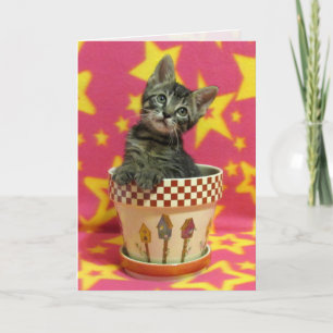 Carte d'anniversaire Grote Tabby - Cute Cat Pic