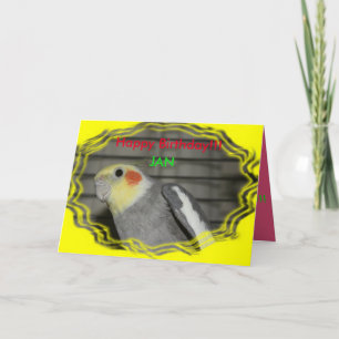 Carte d'anniversaire Harley Cockatiel