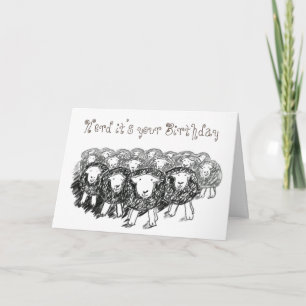 Carte d'anniversaire Herdwick Flock