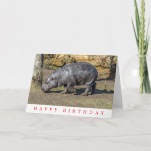 Carte d'anniversaire hippopotame nain