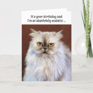 Carte d'Anniversaire Humoristique - Chat Perse Exs