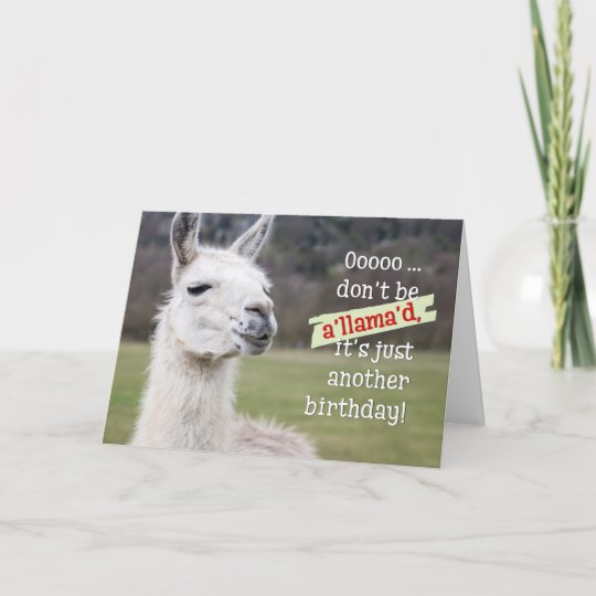 Carte D Anniversaire Humoristique Le Lama Zazzle Ca